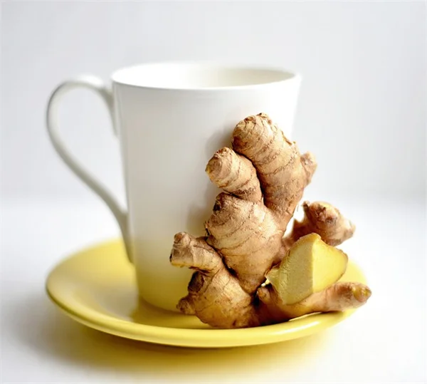 五月の剪定で春咲き花木を来年も豪華に咲かせるコツ