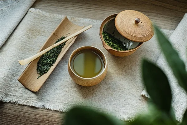 6月の剪定、やってはいけない3つの理由とは？春に咲く花を増やすコツ