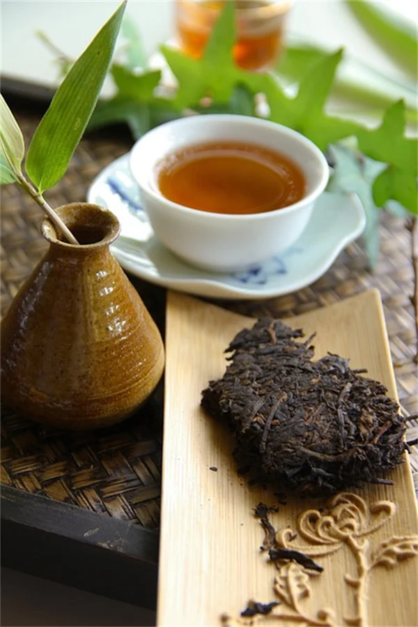 冬の水やりは本当に必要？絶対に水をやるべき3種類の植物