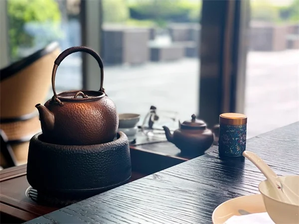 在来種で作る！低メンテナンス斜面庭園の3年日記