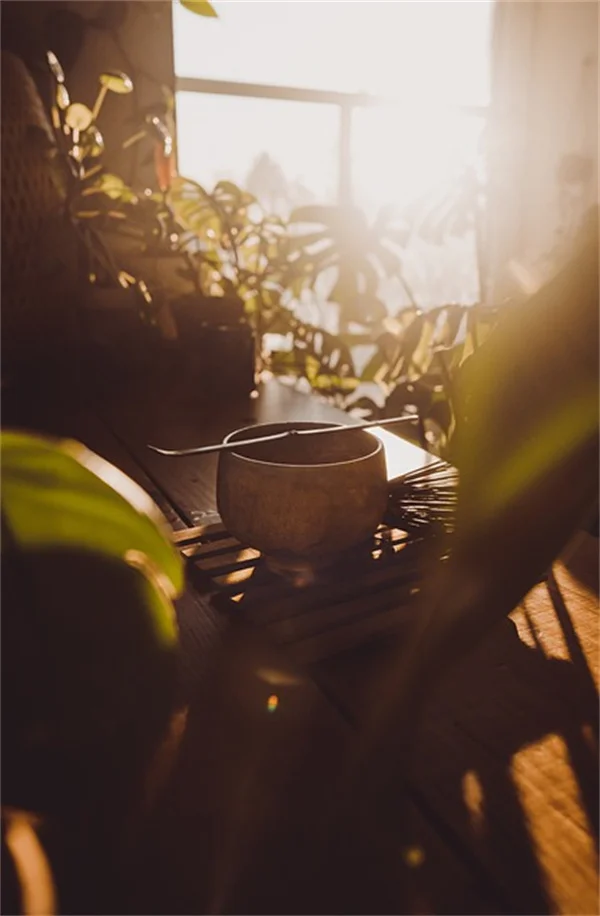 夜に植物を食べる犯人は誰？即わかる5つのサイン